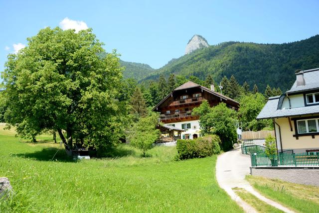 min 2015 06 06 C wolfgang 017